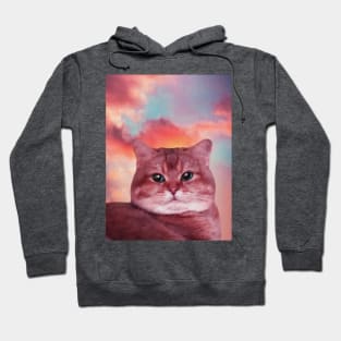 A fat cat in the sky painting Hoodie